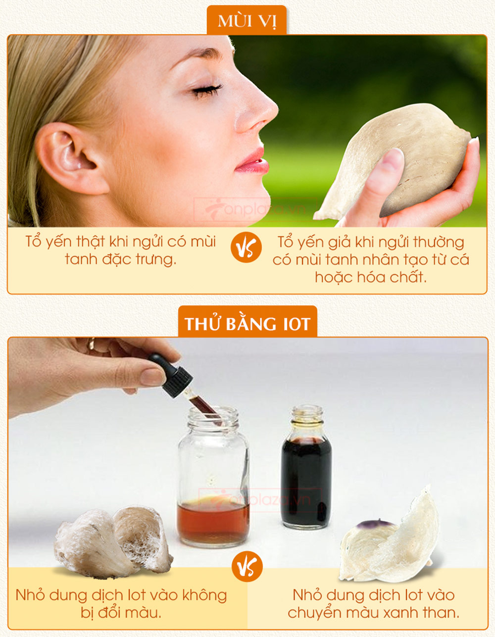 Tổ yến hồng sơ chế thượng hạng