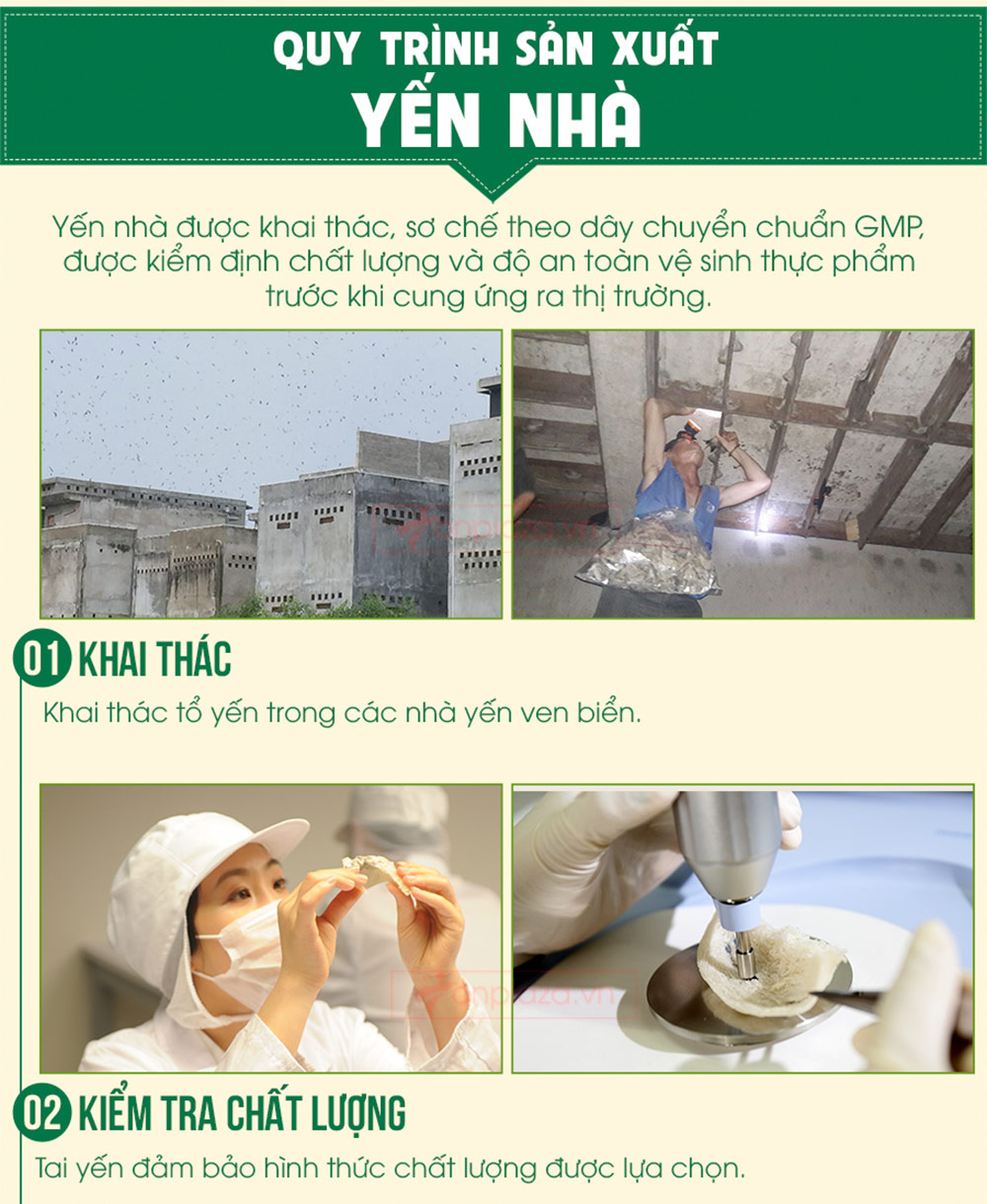 Tổ yến hồng sơ chế thượng hạng