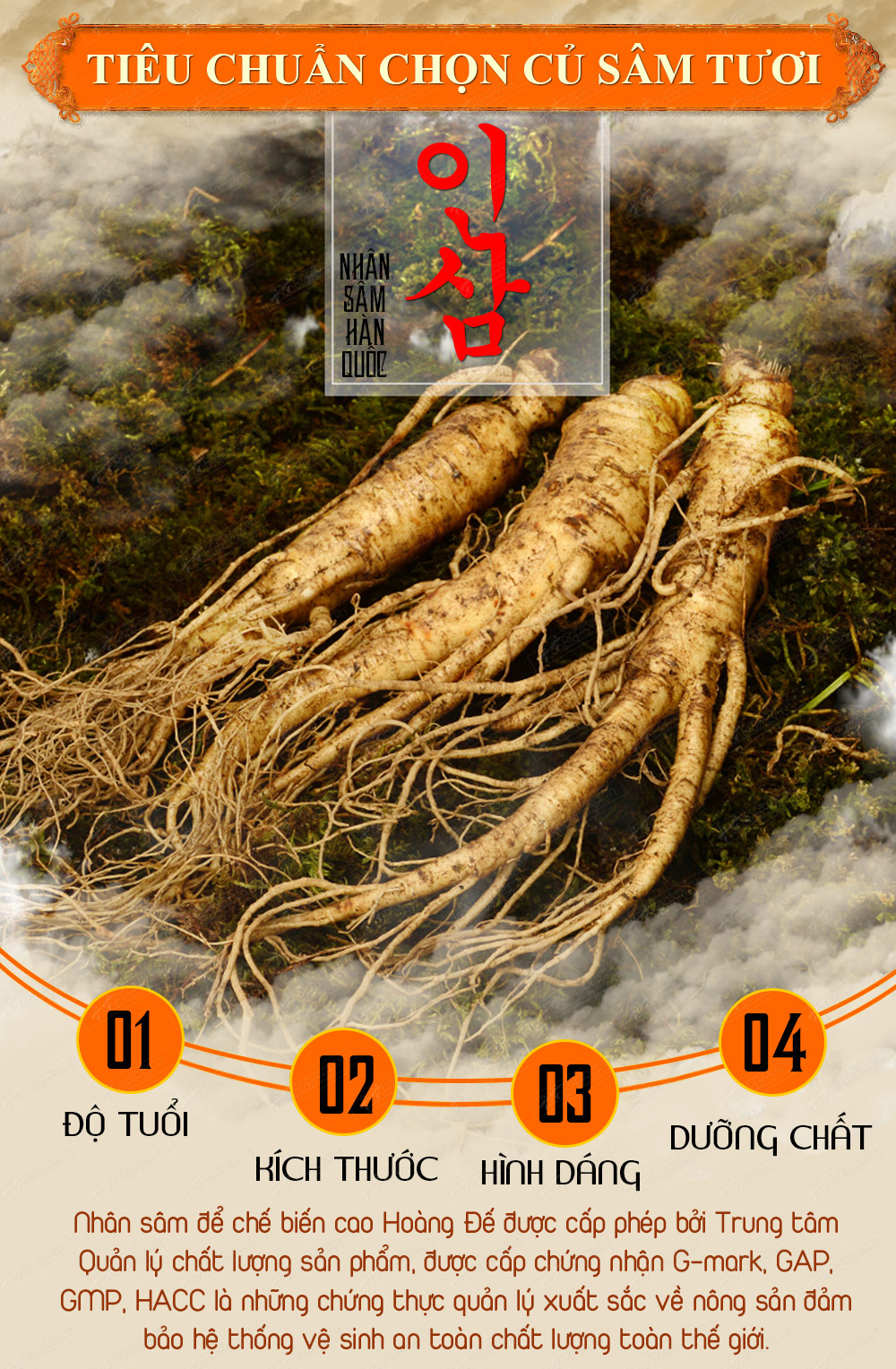 Cao Hoàng Đế đặc biệt loại 500g/hộp màu xanh ngọc NS037-5