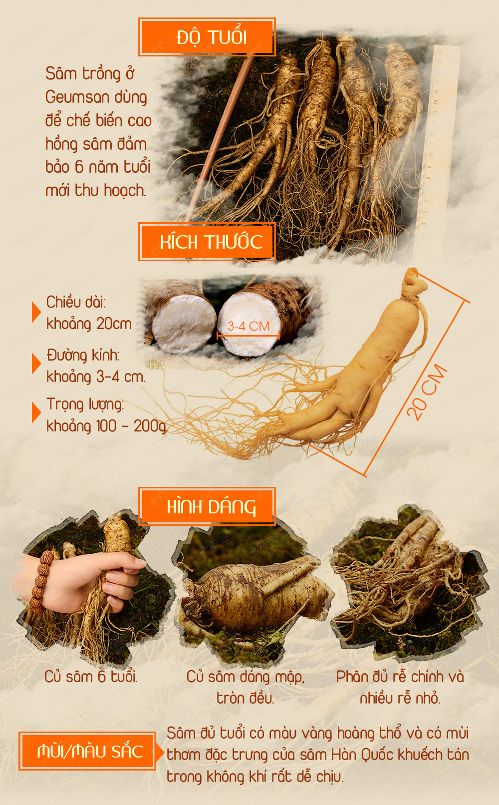 Cao Hoàng Đế đặc biệt loại 500g/hộp màu xanh ngọc NS037-6