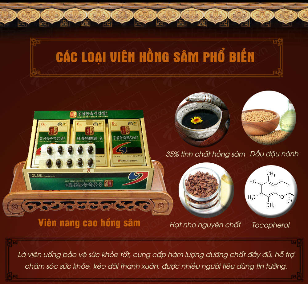 Viên nang nhân sâm linh chi cao cấp hộp 120 viên NS101