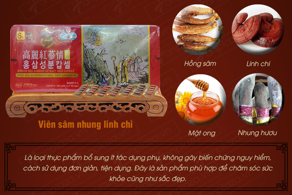 Viên nang nhân sâm linh chi cao cấp hộp 120 viên NS101