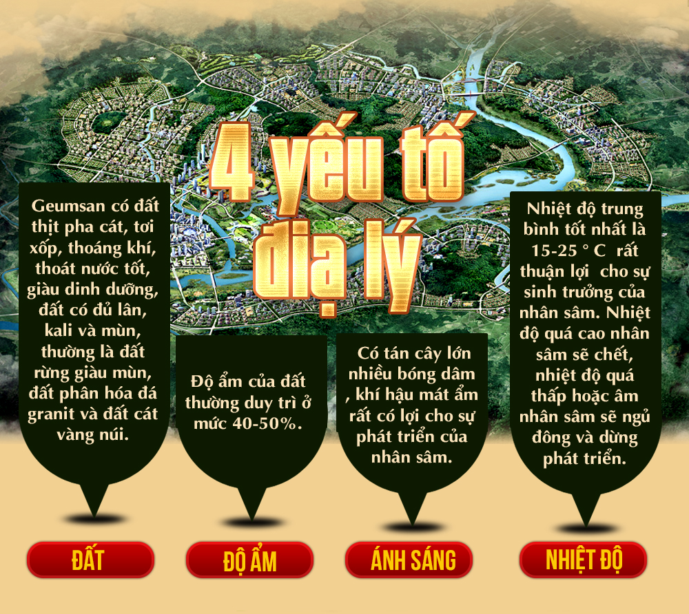Nhân sâm đá Triều Tiên hoang dã 1000 năm tuổi (hàng độc quyền) NS214-5