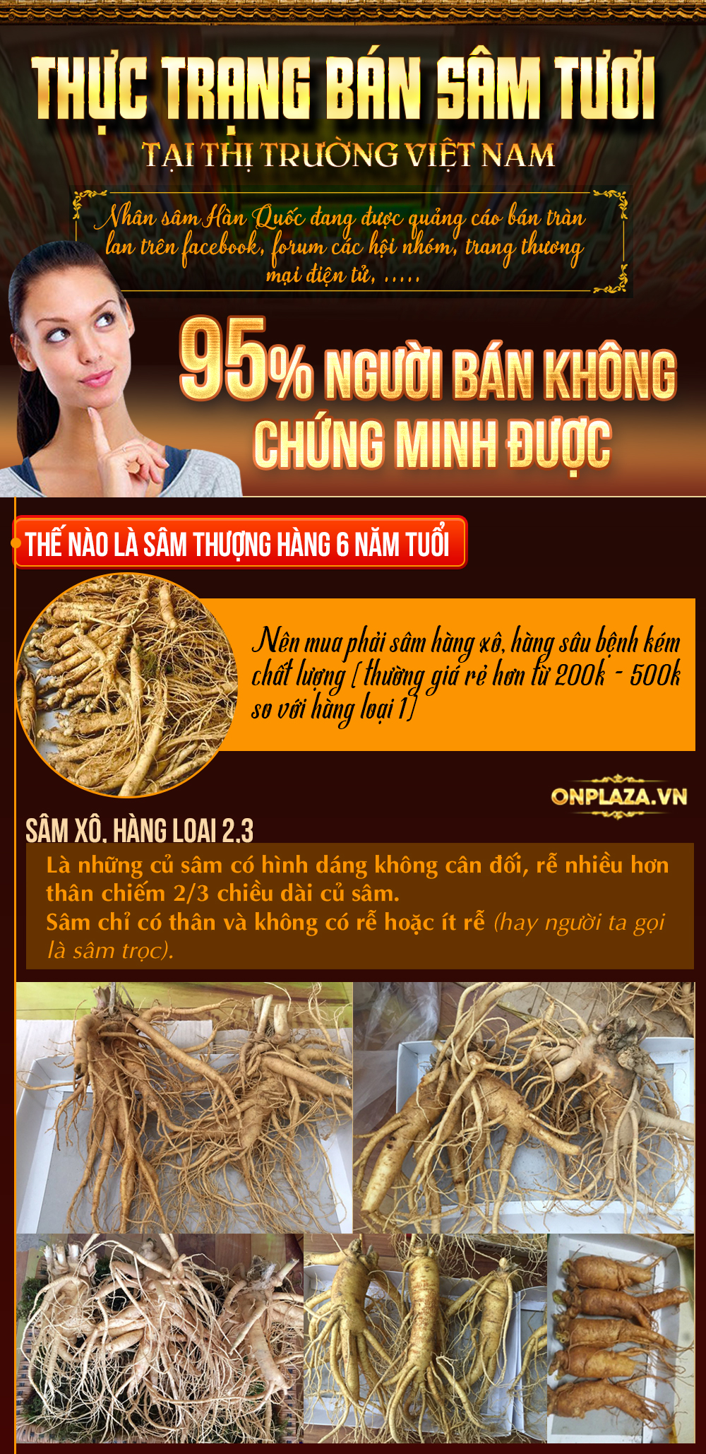 Nhân sâm đá Triều Tiên hoang dã 1000 năm tuổi (hàng độc quyền) NS214-17