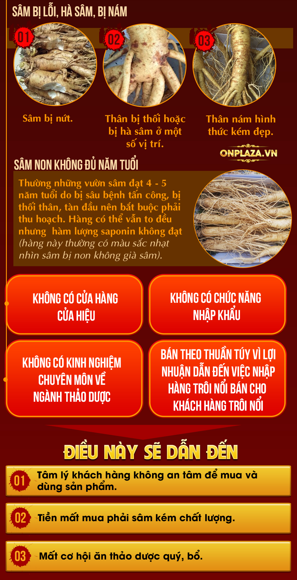 Nhân sâm đá Triều Tiên hoang dã 1000 năm tuổi (hàng độc quyền) NS214-18