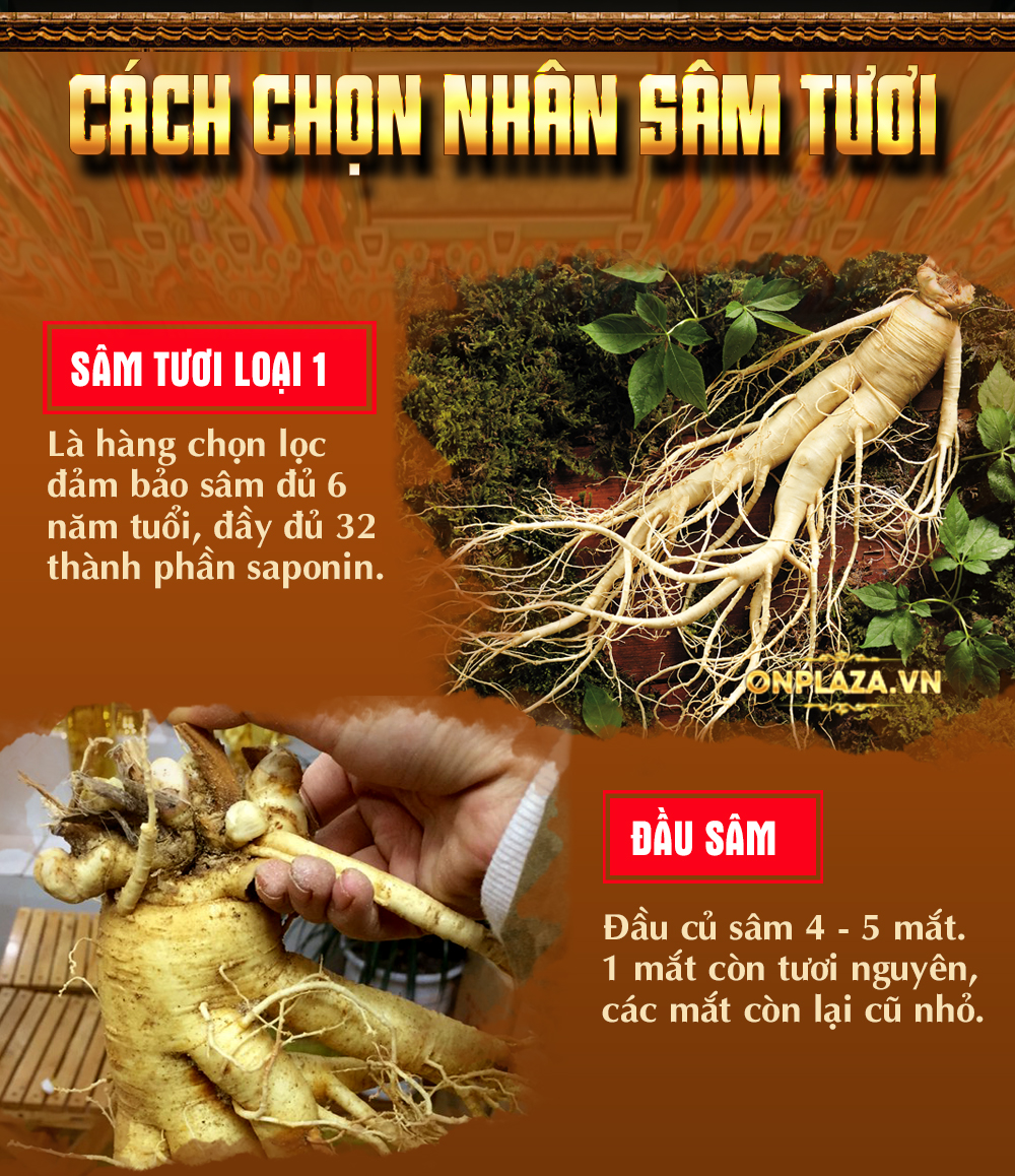 Nhân sâm đá Triều Tiên hoang dã 1000 năm tuổi (hàng độc quyền) NS214-21