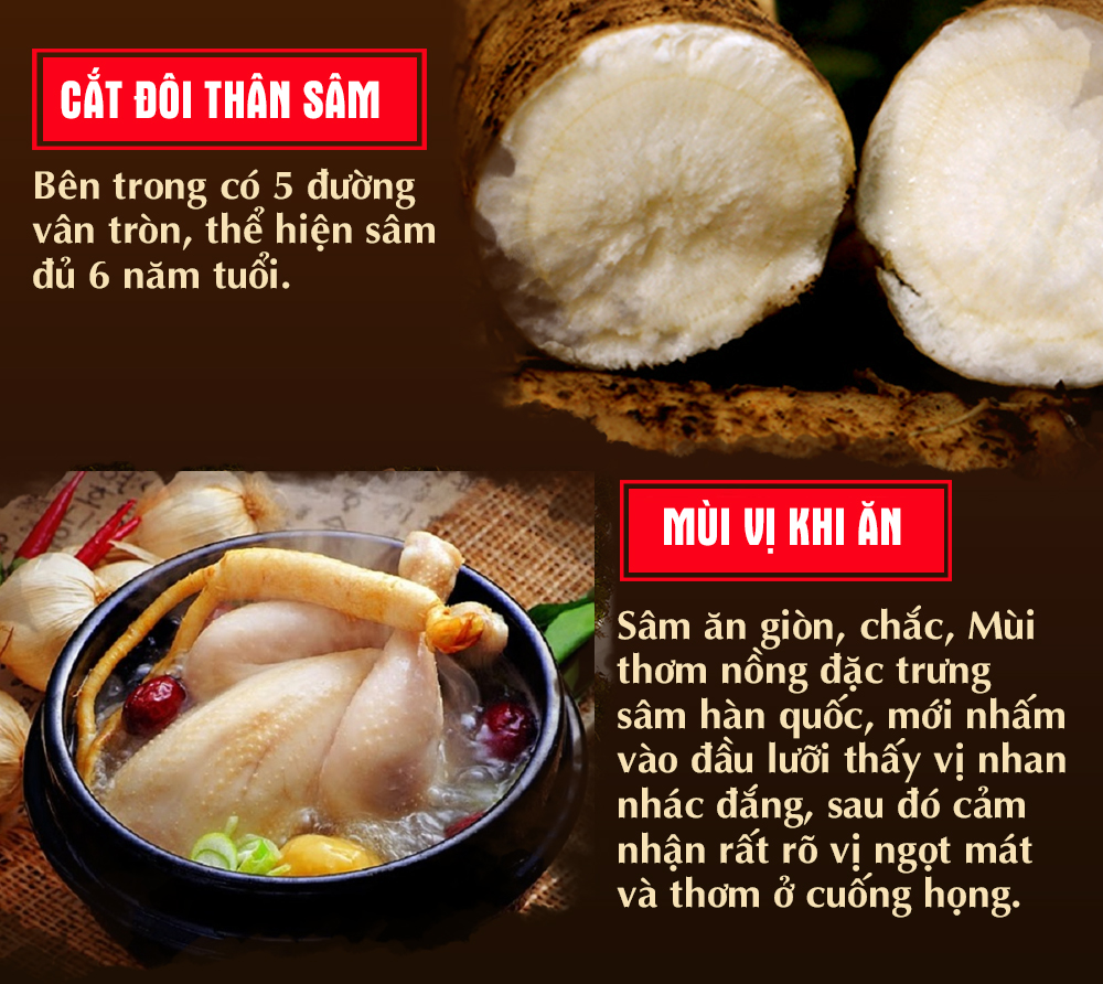 Nhân sâm đá Triều Tiên hoang dã 1000 năm tuổi (hàng độc quyền) NS214-23