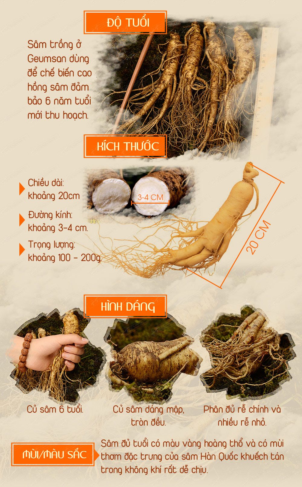 Hộp quà biếu cao hồng sâm Hoàng Đế đặc biệt loại 500g NS037-6