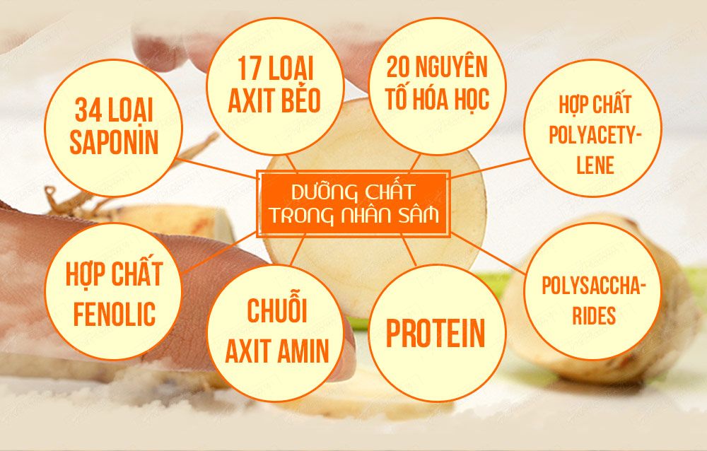 Hộp quà biếu cao hồng sâm Hoàng Đế đặc biệt loại 500g NS037-7