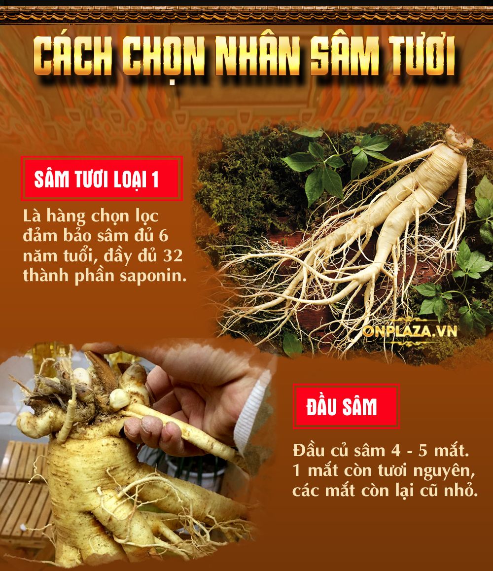 Hộp quà biếu nhân sâm tươi Hàn Quốc 6 năm tuổi cao cấp loại 5 củ/kg NS003-21