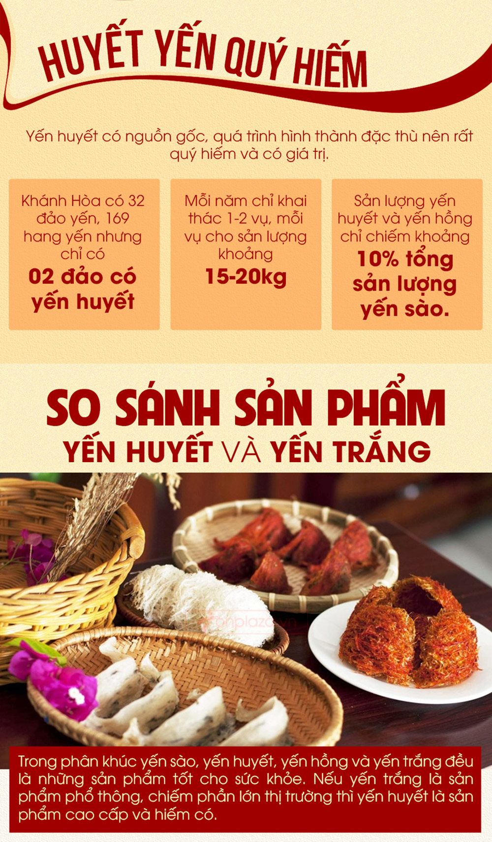 Hộp quà biếu tổ yến huyết tinh chế thượng hạng loại 100g Y061-8