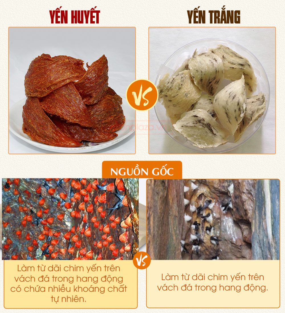 Hộp quà biếu tổ yến huyết tinh chế thượng hạng loại 100g Y061-9