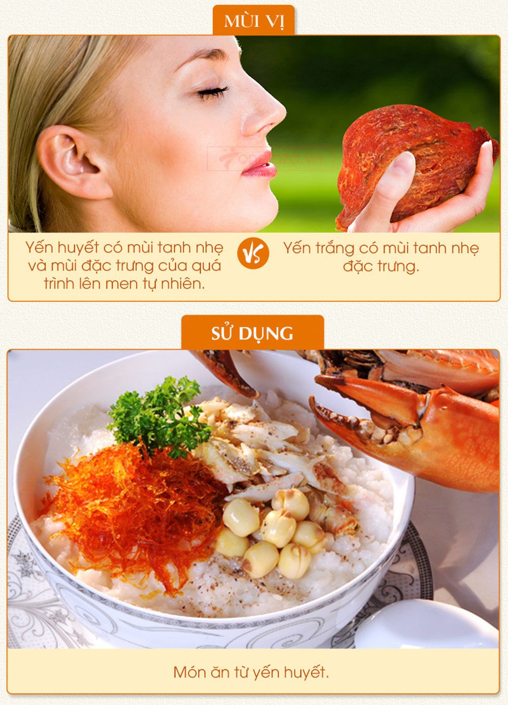 Hộp quà biếu tổ yến huyết tinh chế thượng hạng loại 100g Y061-11