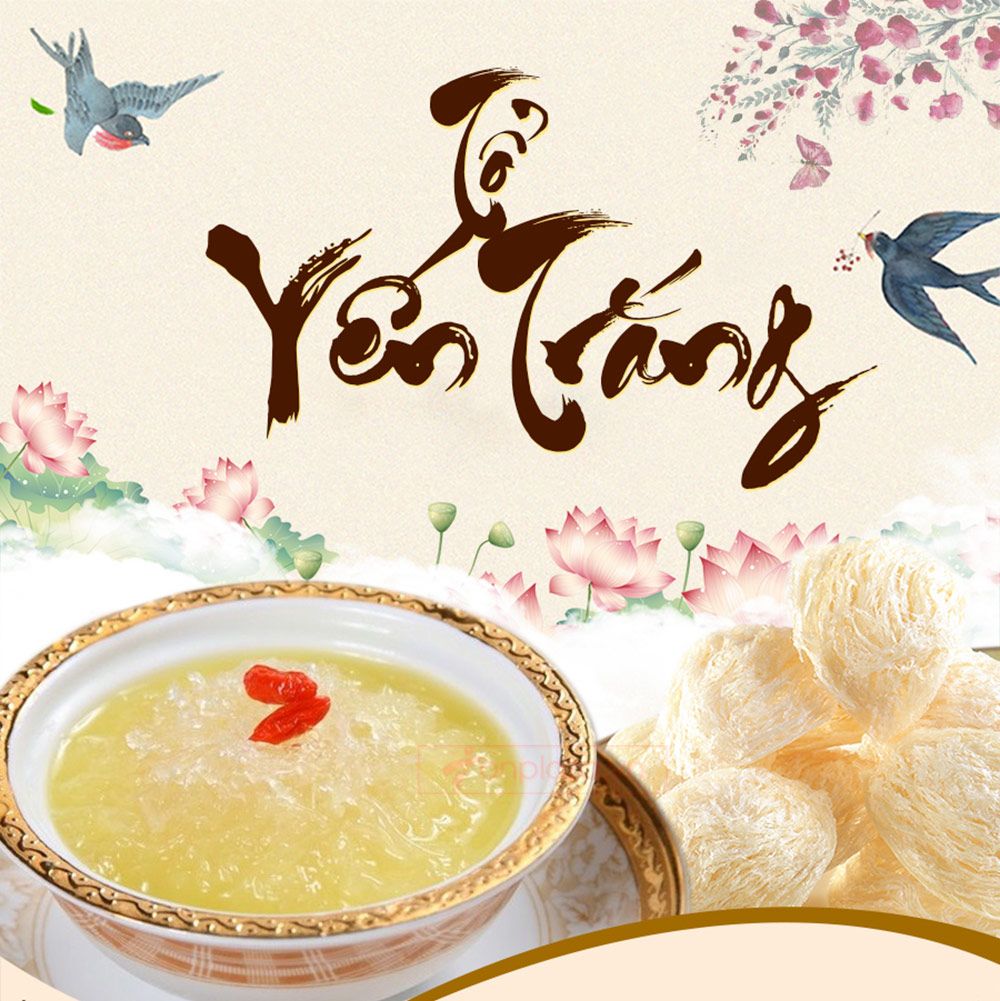 Hộp quà biếu tổ yến trắng Nhà Yến sơ chế thượng hạng 2 100g Y067-1
