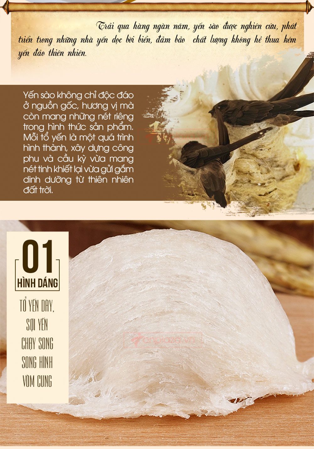 Hộp quà biếu tổ yến trắng Nhà Yến sơ chế thượng hạng 2 100g Y067-2