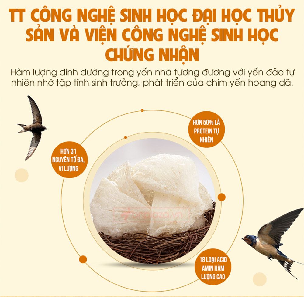 Hộp quà biếu tổ yến trắng Nhà Yến sơ chế thượng hạng 2 100g Y067-4