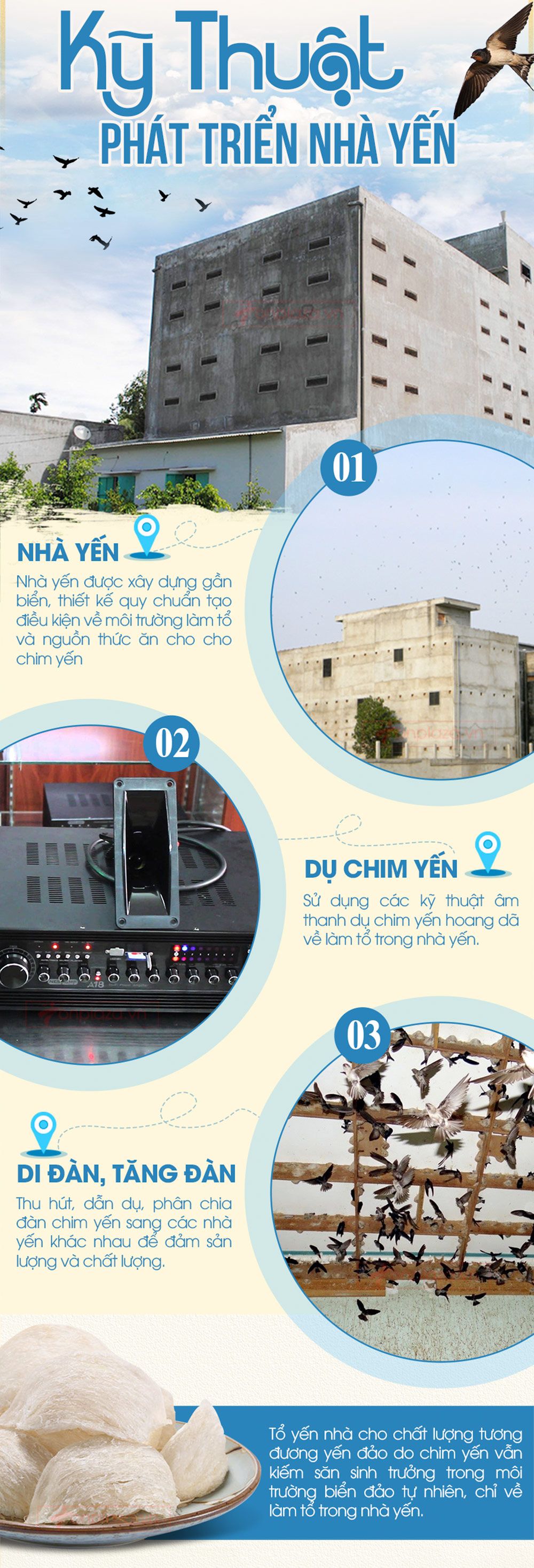 Hộp quà biếu tổ yến trắng Nhà Yến sơ chế thượng hạng 2 100g Y067-5