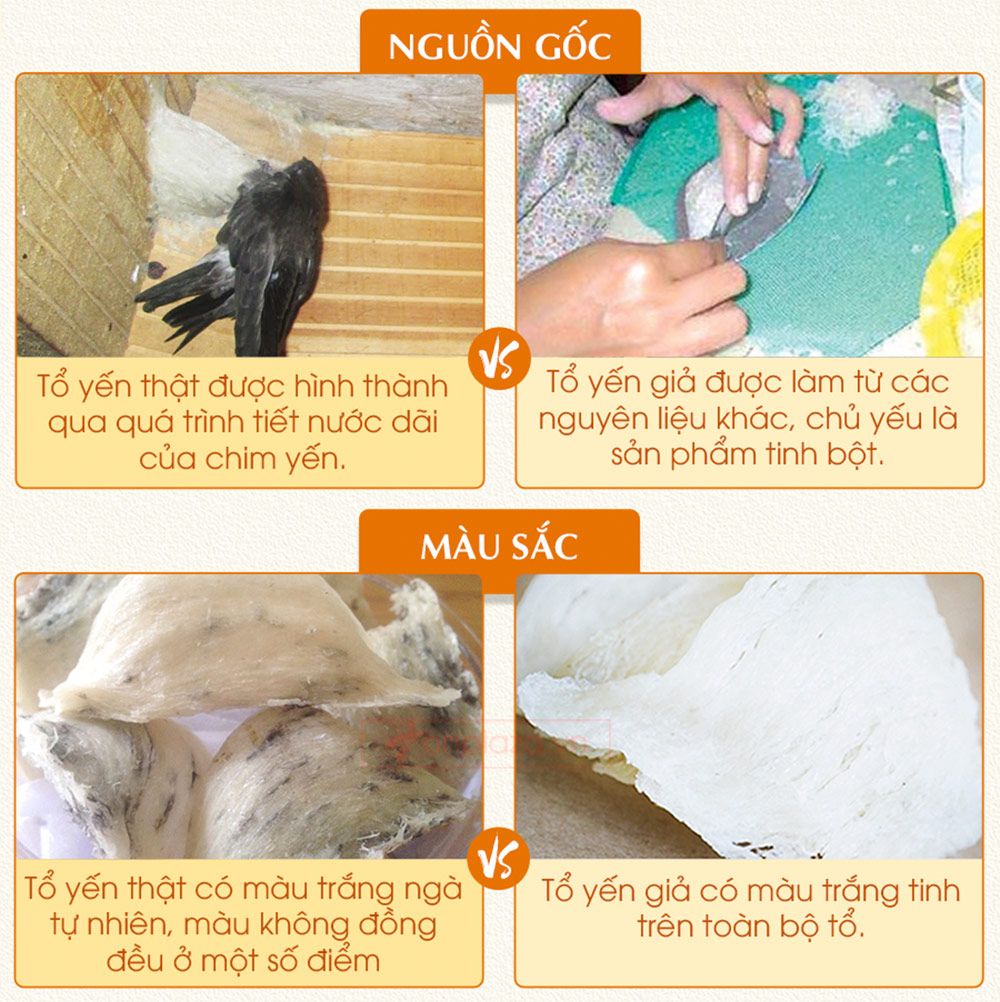 Hộp quà biếu tổ yến trắng tinh chế thượng hạng cao cấp loại 1 hộp 100g Y063-7