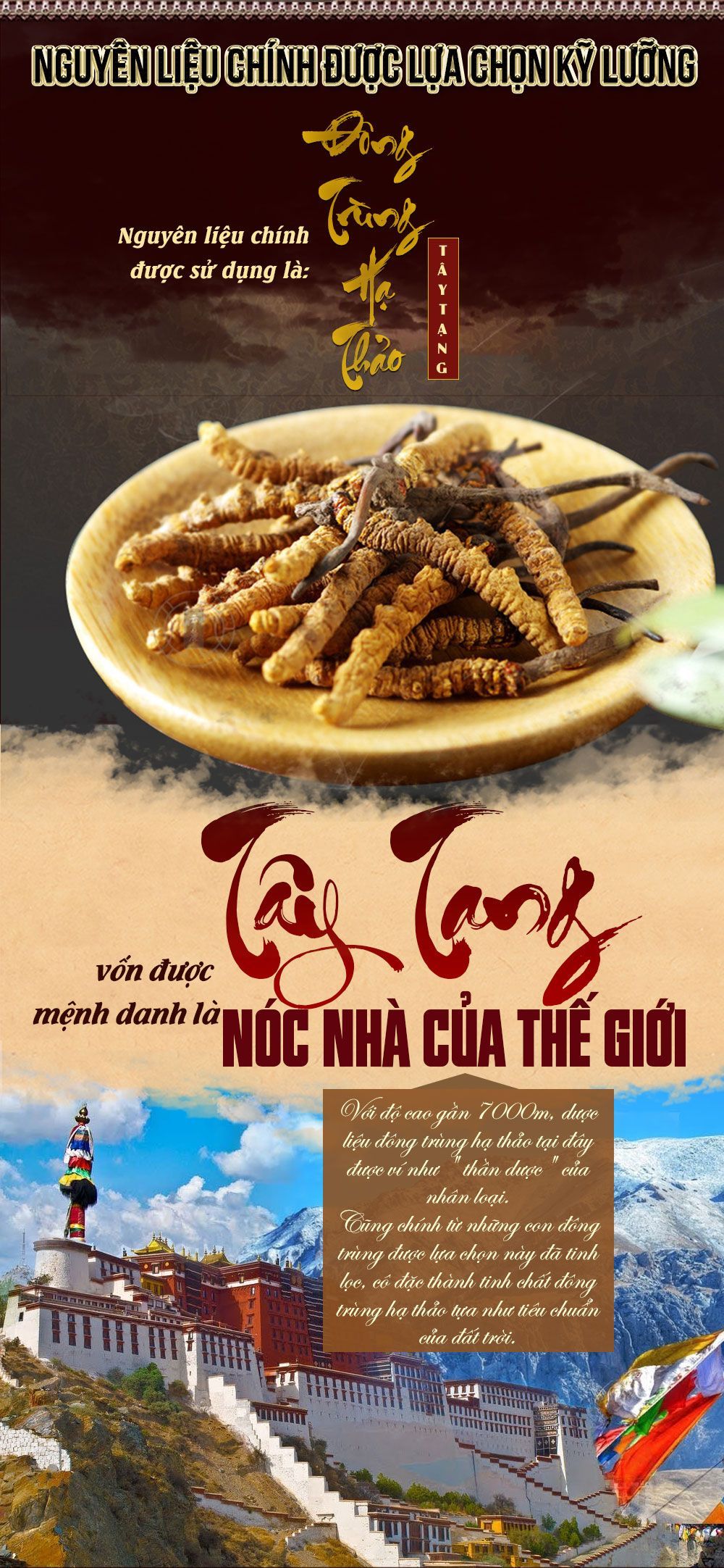Nước ĐTHT hộp quà biếu gỗ vàng 60 gói cao cấp Hàn Quốc D043 3
