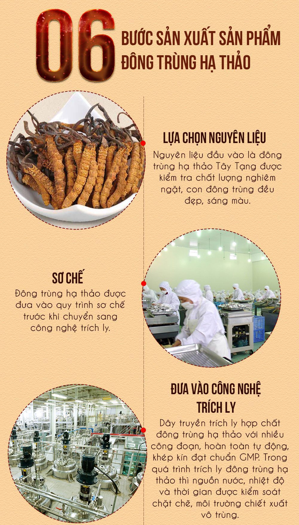 Đông trùng hạ thảoa Hàn Quốc 60 viên hộp gỗ quà biếu cao cấp D023 8
