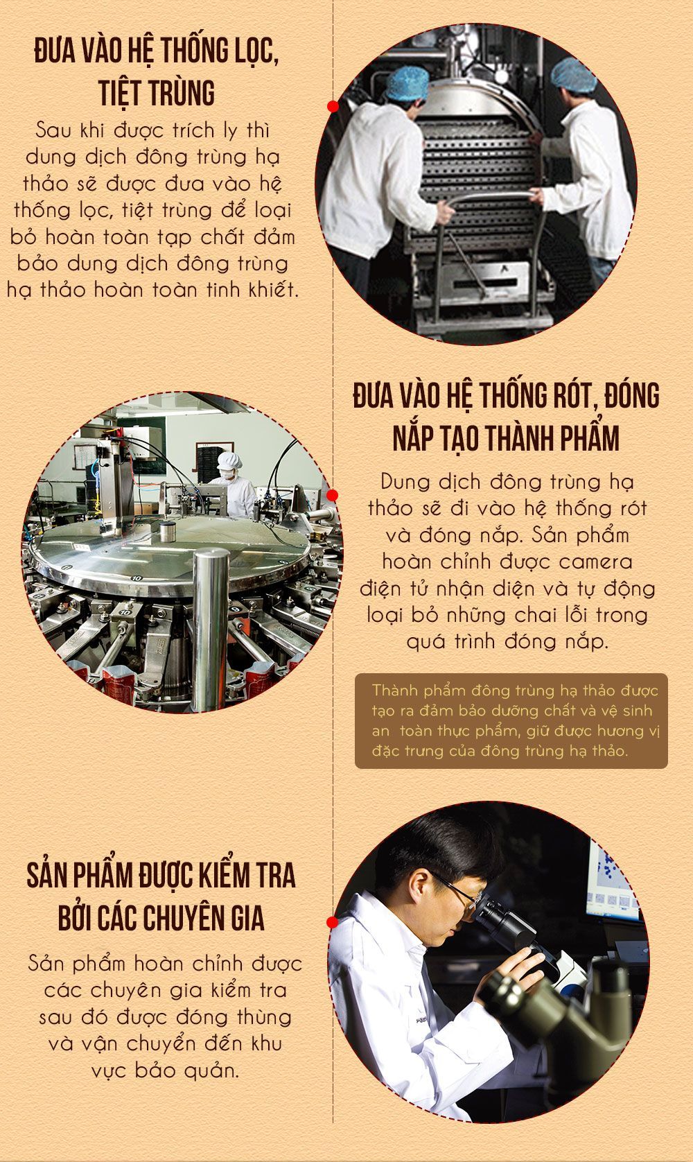 Đông trùng hạ thảoa Hàn Quốc 60 viên hộp gỗ quà biếu cao cấp D023 9