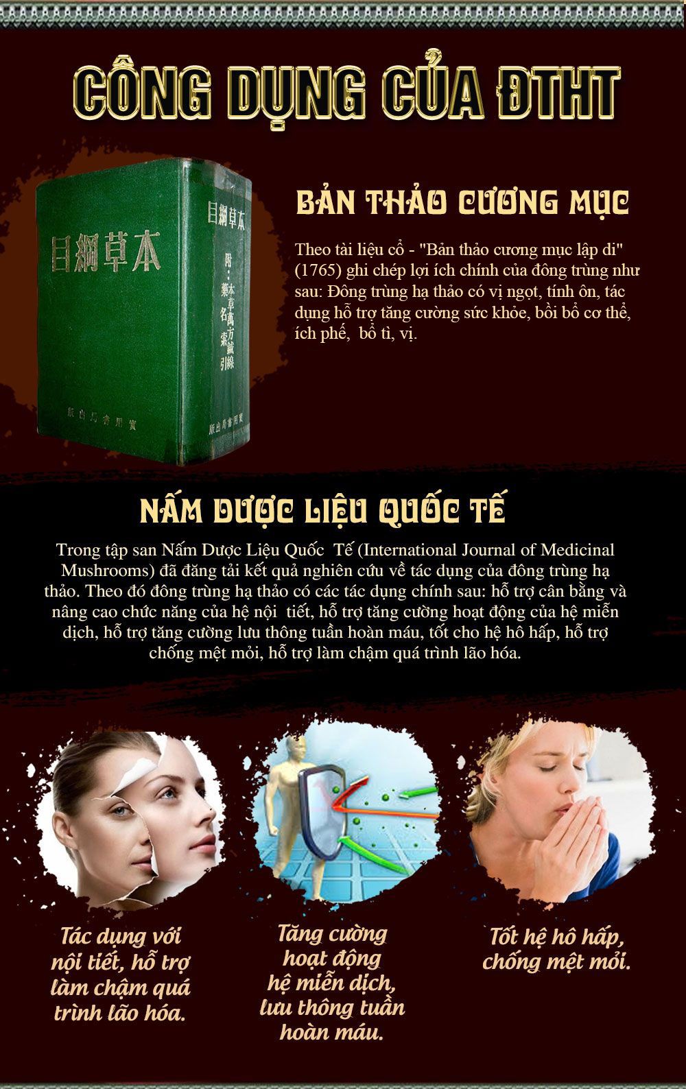 Đông trùng hạ thảoa Hàn Quốc 60 viên hộp gỗ quà biếu cao cấp D023 10