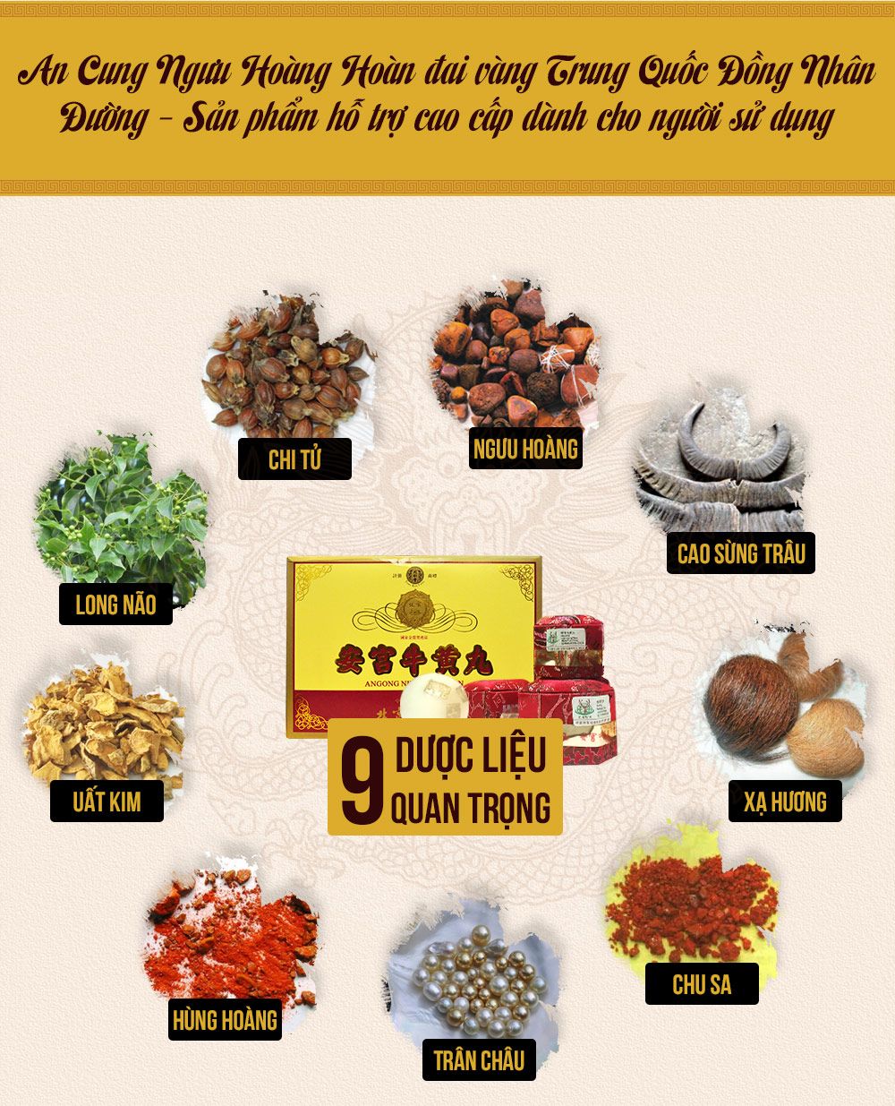 An cung ngưu hoàng hoàn đai vàng Trung Quốc Đồng Nhân Đường hôp quà biếu A006 6
