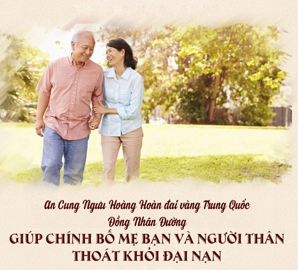 An cung ngưu hoàng hoàn đai vàng Trung Quốc Đồng Nhân Đường hôp quà biếu A006 12
