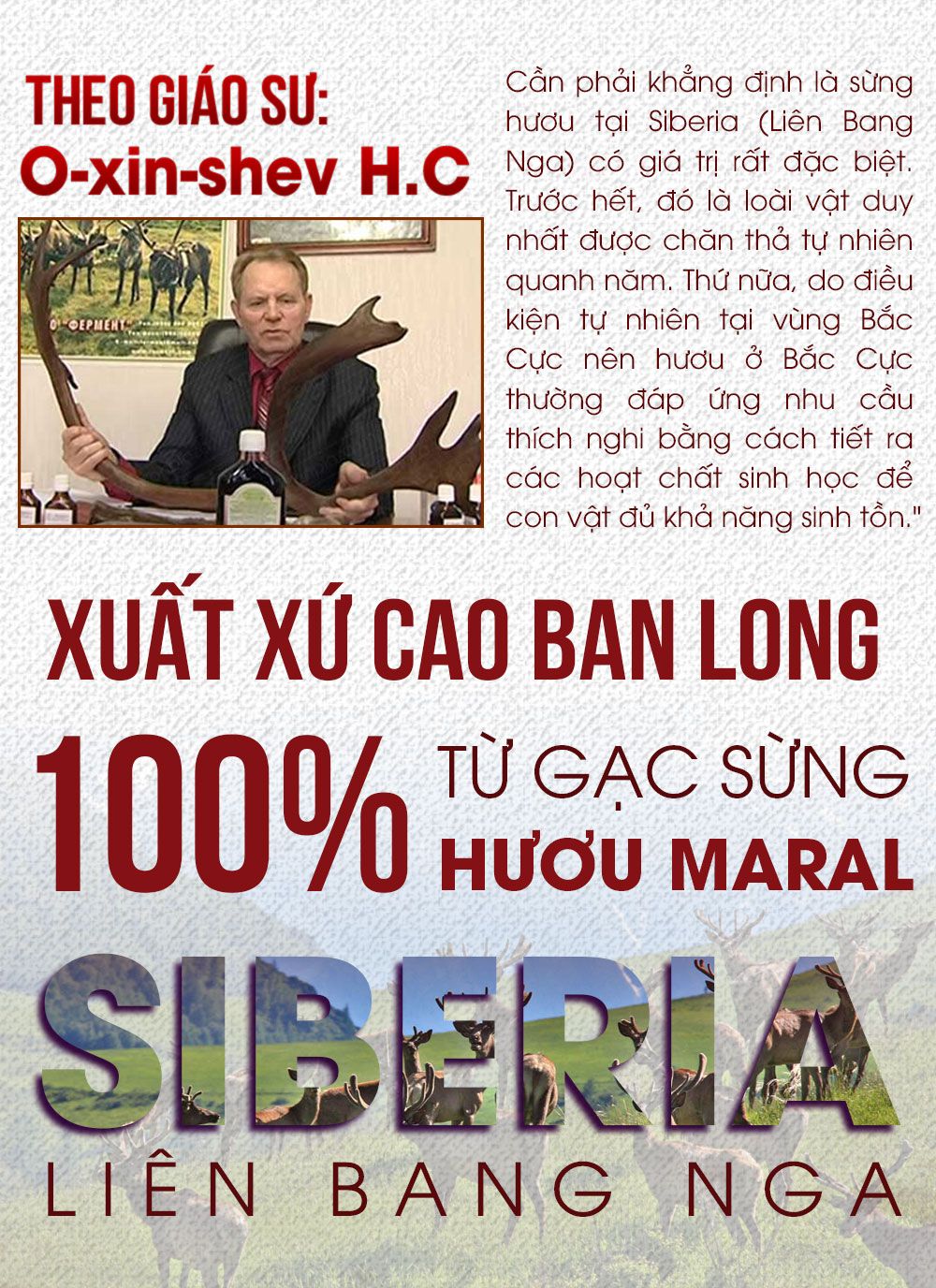 Cao Ban Long Siberia cao cấp (gói 100g)-NH001 4