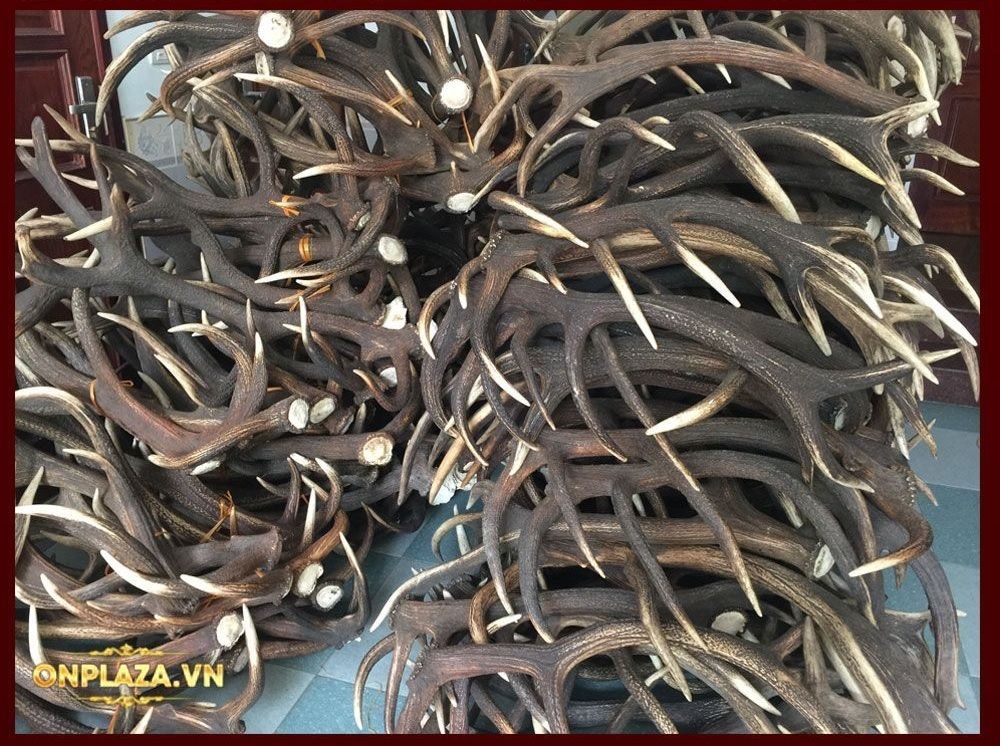 Cao Ban Long Siberia cao cấp (gói 100g)-NH001 10