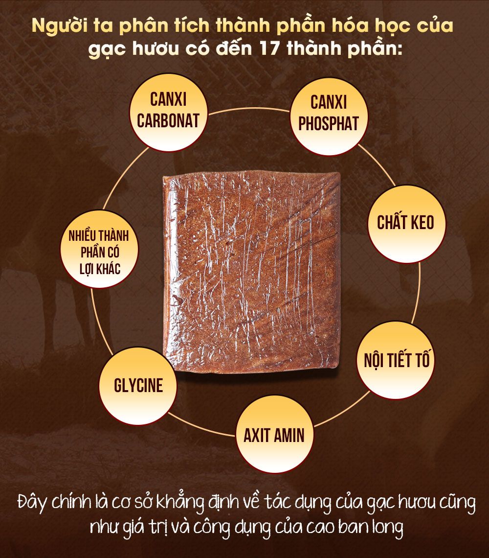 Cao Ban Long Siberia cao cấp (gói 100g)-NH001 17