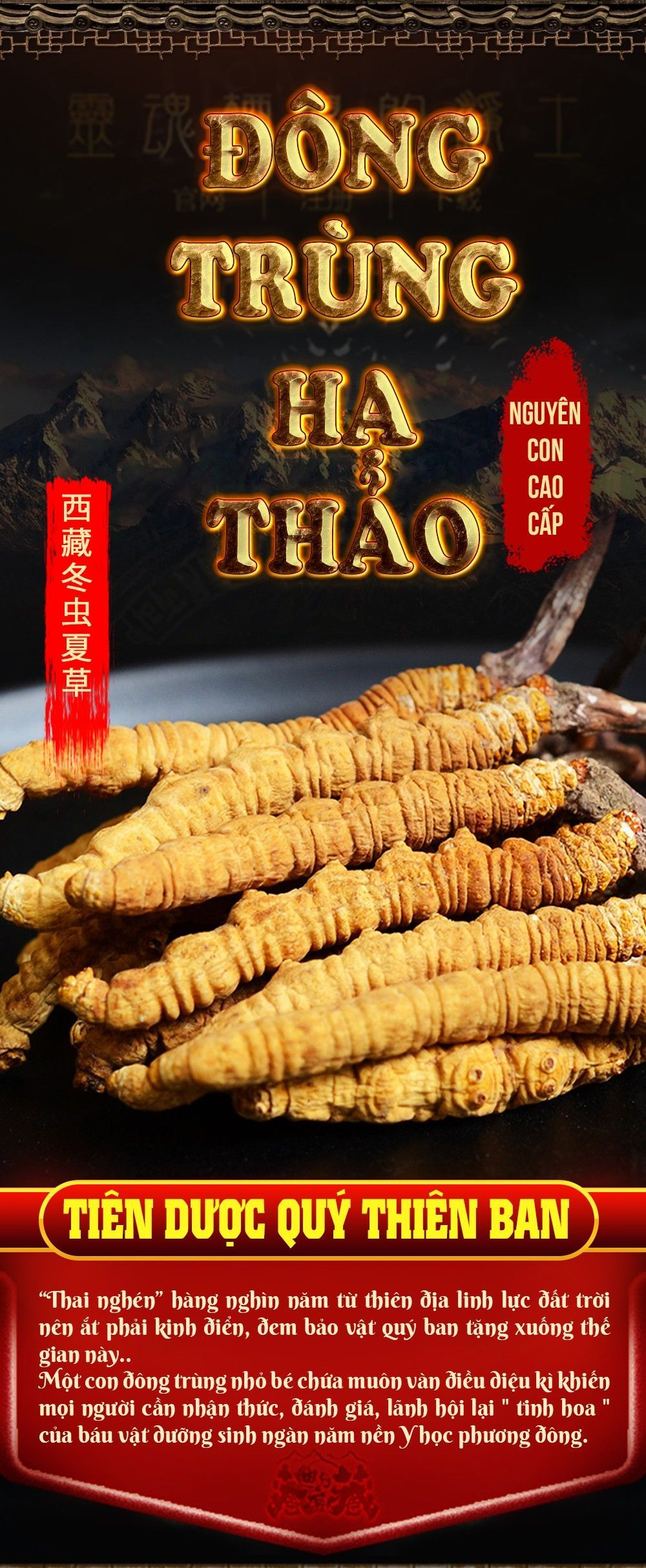 Hộp quà biếu đông trùng hạ thảo nguyên con cao cấp 100gr D012 1