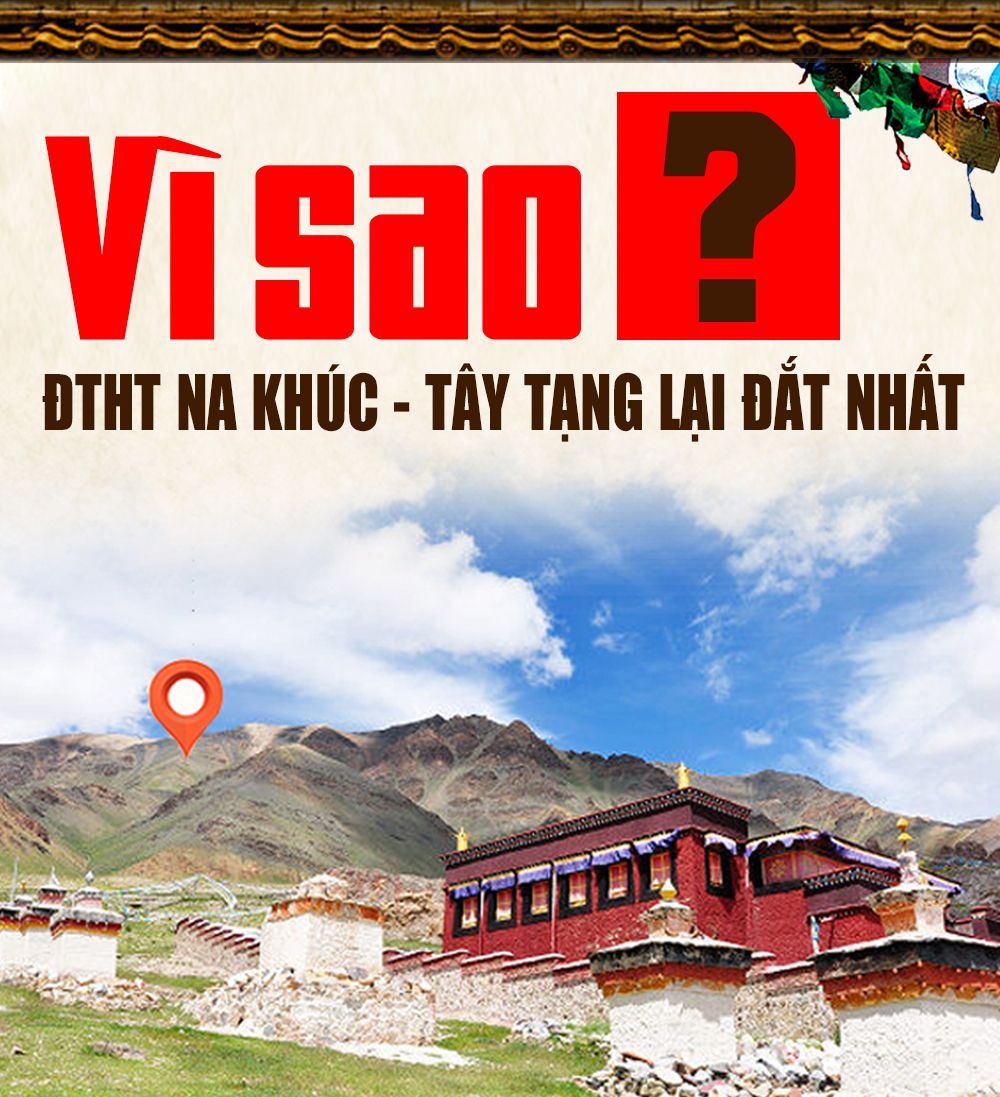Hộp quà biếu đông trùng hạ thảo nguyên con cao cấp 100gr D012 2