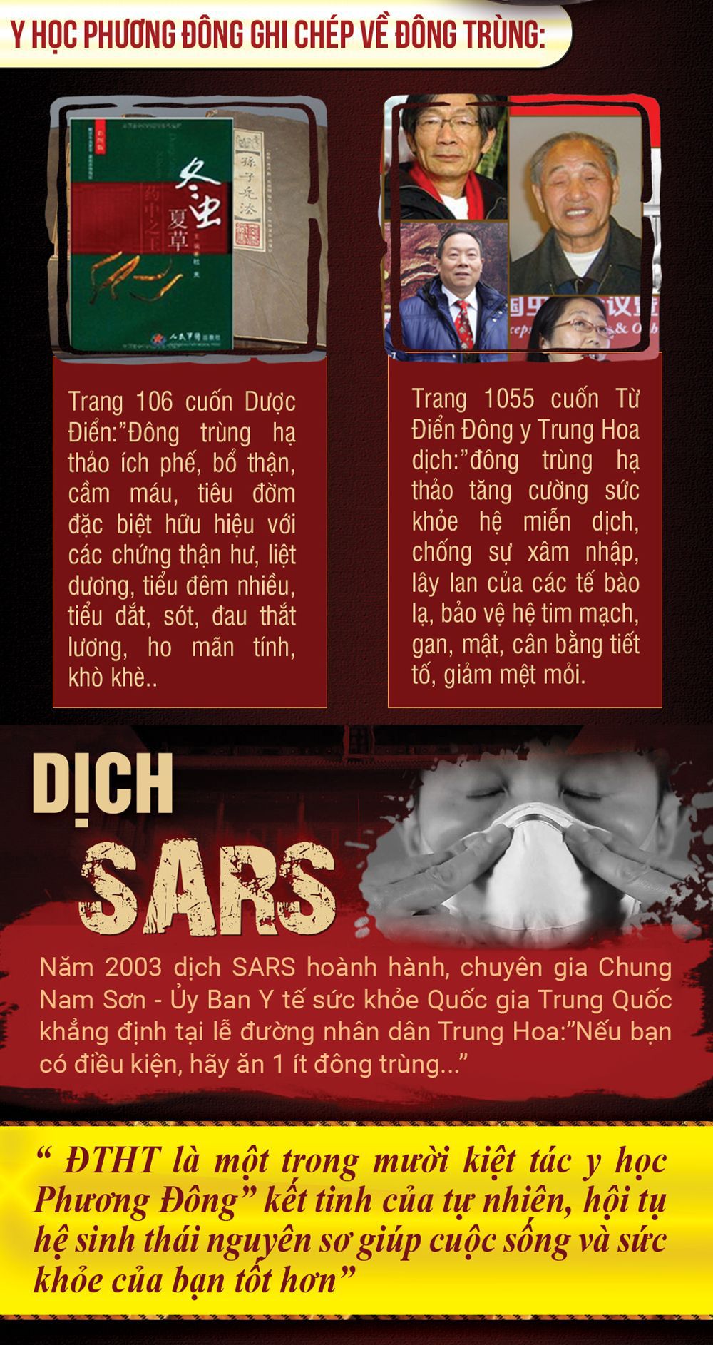 Đông trùng hạ thảo Tây Tạng cao cấp hộp 100gr loại 500 – 600 con 6