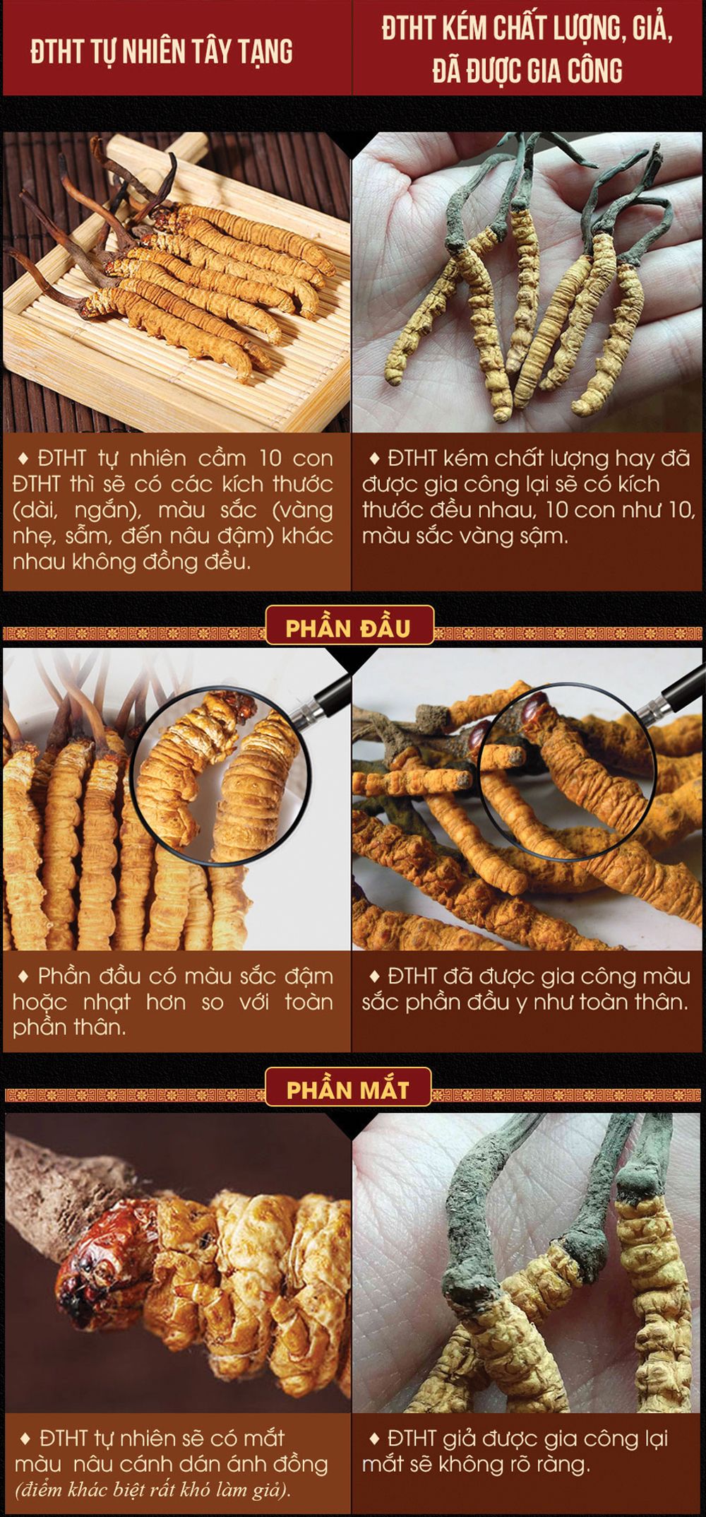 Hộp quà biếu đông trùng hạ thảo nguyên con cao cấp 100gr D012 11