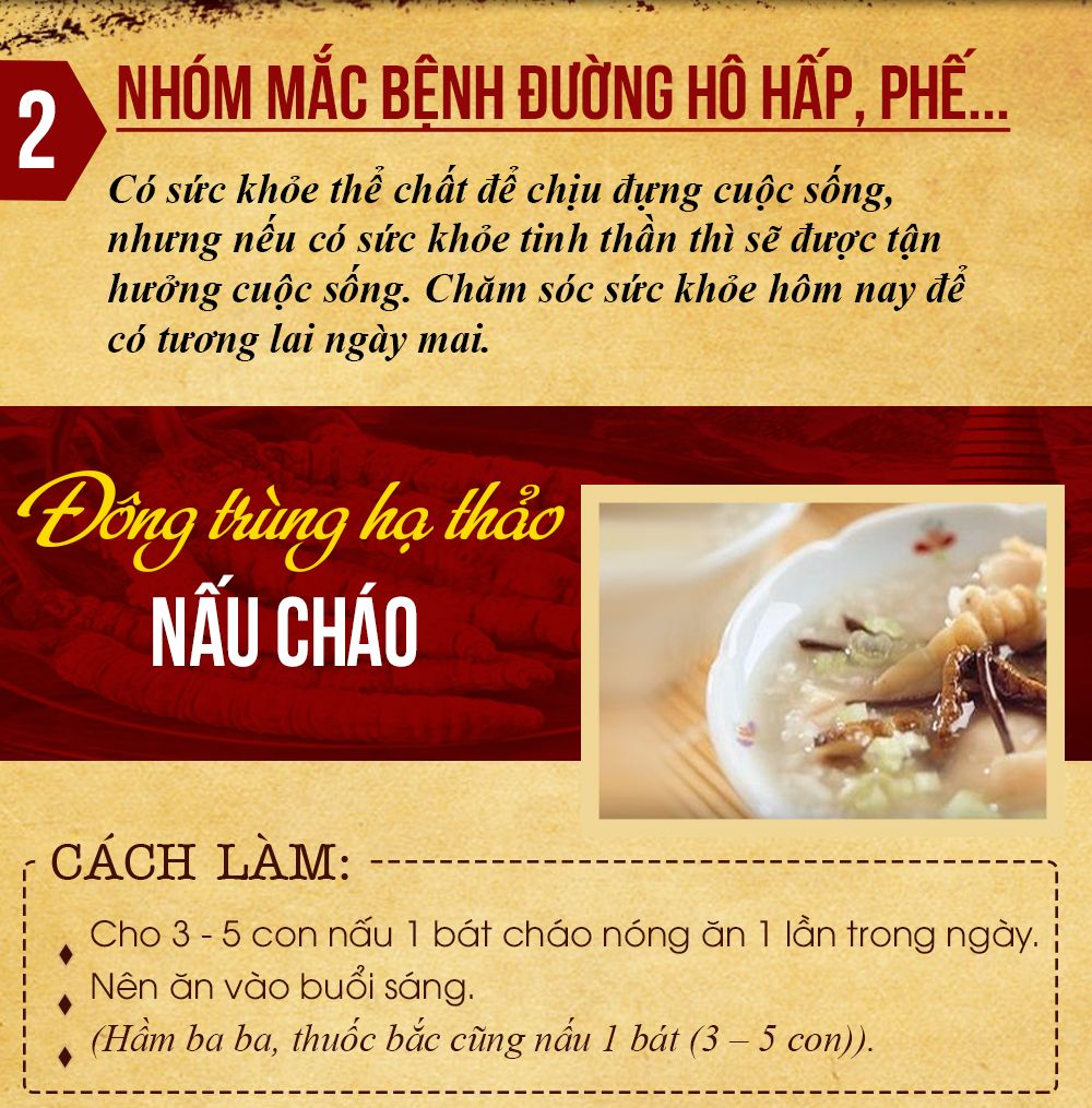Đông trùng hạ thảo Tây Tạng cao cấp hộp 100gr loại 500 – 600 con 15