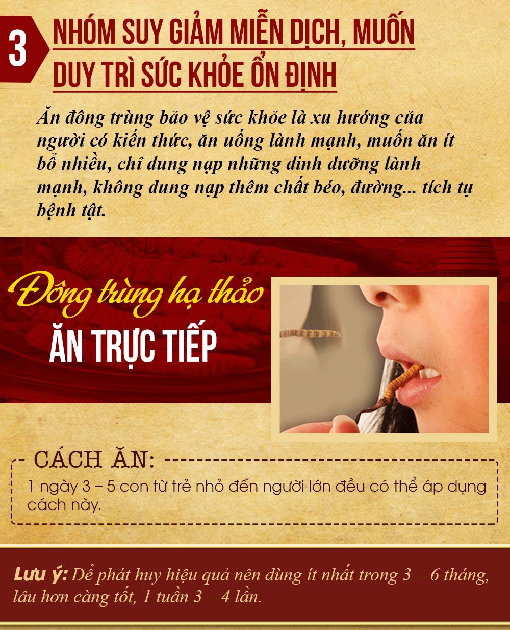 Đông trùng hạ thảo Tây Tạng nguyên con cao cấp hộp 1gr 16