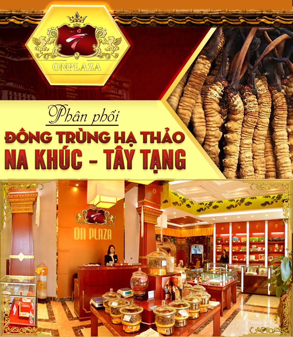 Đông trùng hạ thảo Tây Tạng cao cấp hộp 100gr loại 500 – 600 con 19