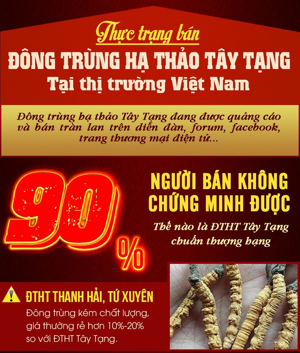 Hộp quà biếu đông trùng hạ thảo nguyên con cao cấp 100gr D012 21