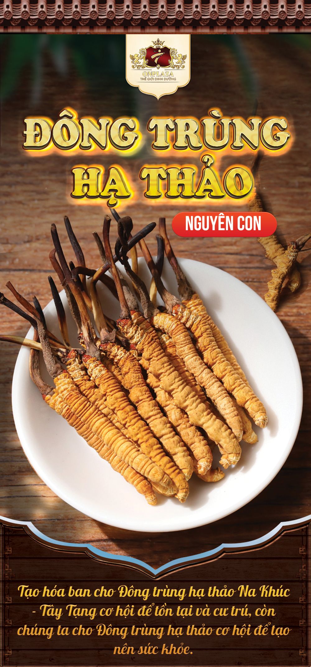 Đông trùng hạ thảo Tây Tạng nguyên con hộp 50gr D011 1