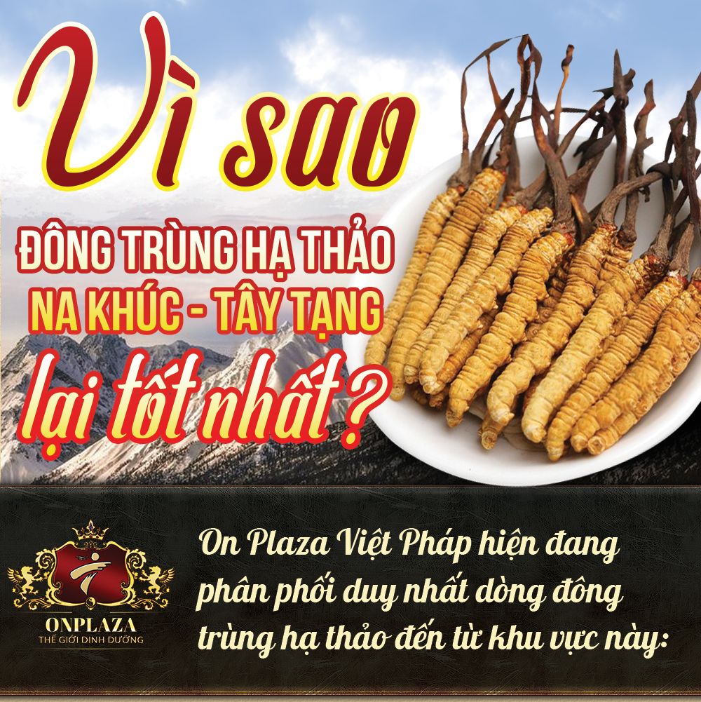 Đông trùng hạ thảo Tây Tạng nguyên con hộp 50gr D011 3