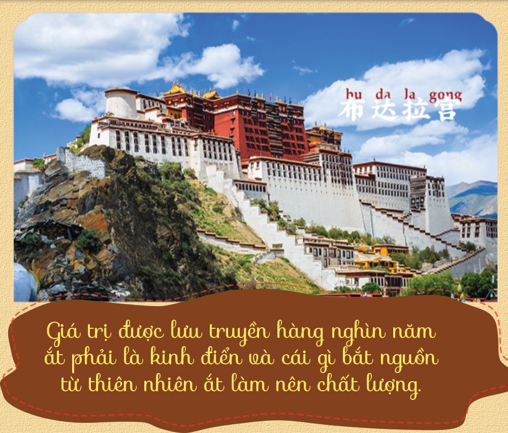 Đông trùng hạ thảo Tây Tạng nguyên con hộp 50gr D011 4