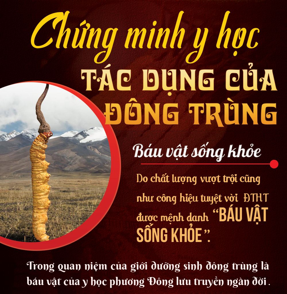 Đông trùng hạ thảo Tây Tạng nguyên con hộp 50gr D011 9