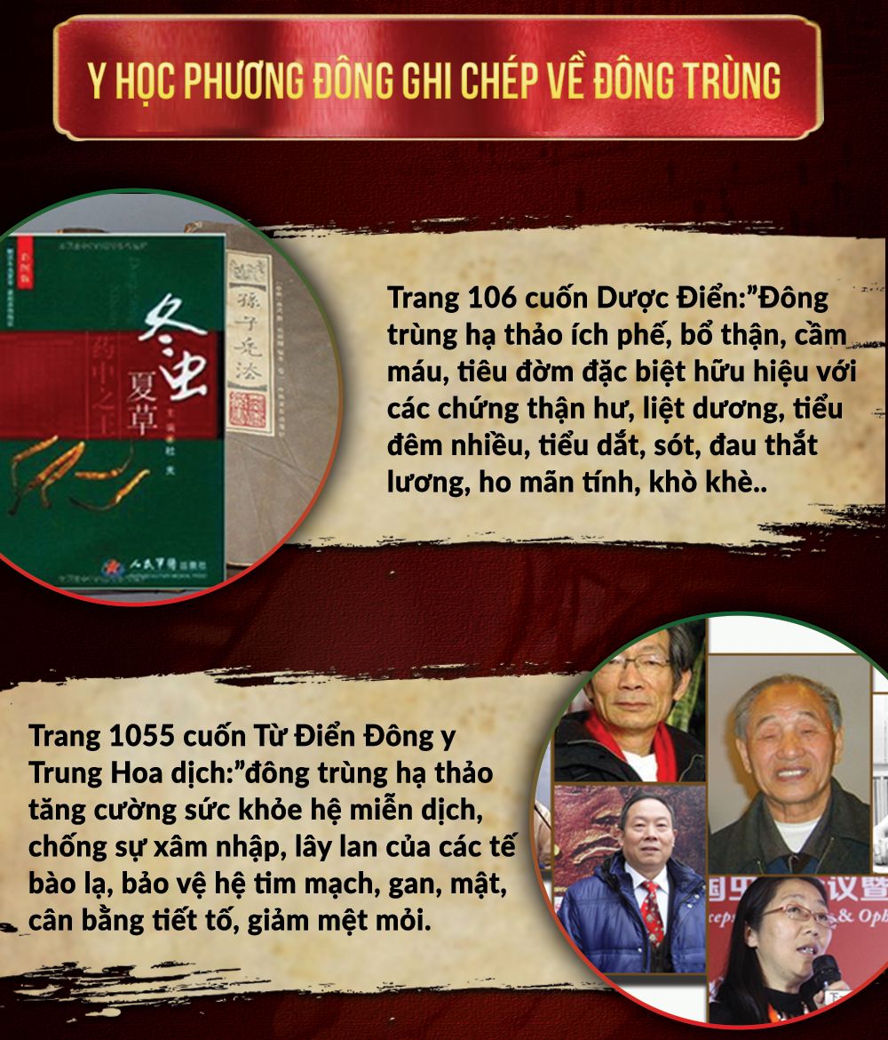 Đông trùng hạ thảo Tây Tạng nguyên con hộp 50gr D011 10