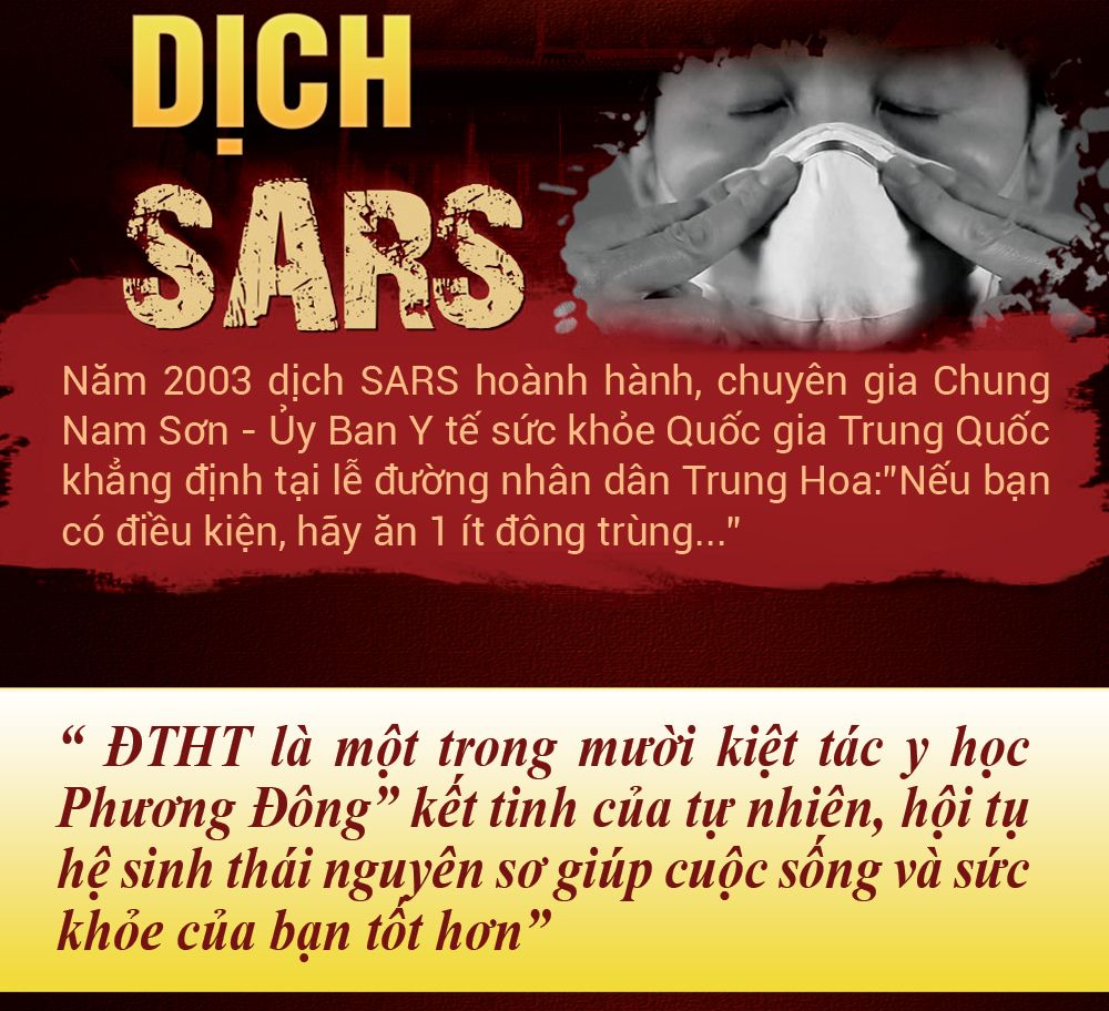 Đông trùng hạ thảo Tây Tạng nguyên con hộp 50gr D011 11
