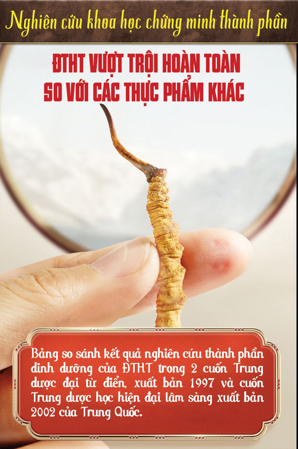 Đông trùng hạ thảo Tây Tạng nguyên con hộp 50gr D011 12