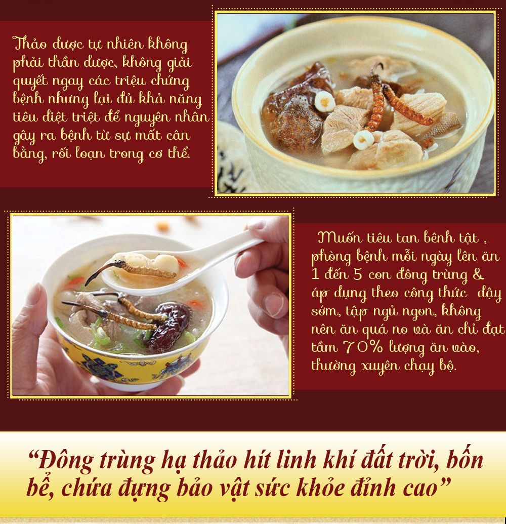 Đông trùng hạ thảo Tây Tạng nguyên con hộp 50gr D011 15