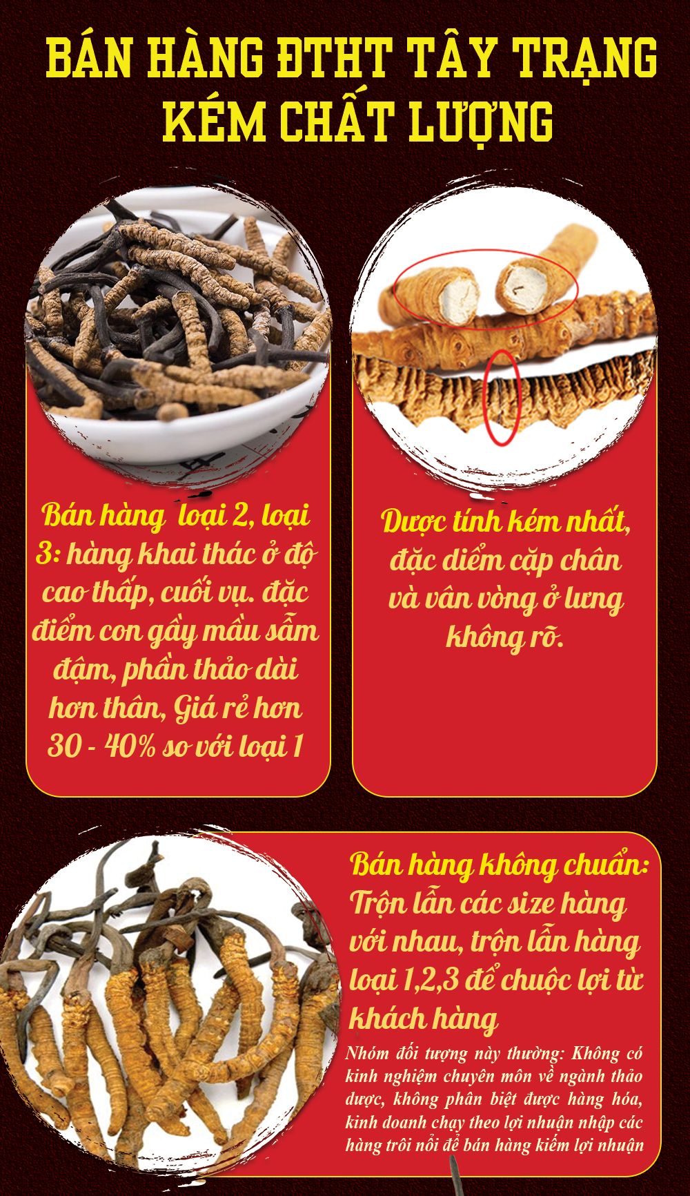 Đông trùng hạ thảo Tây Tạng nguyên con hộp 50gr D011 24
