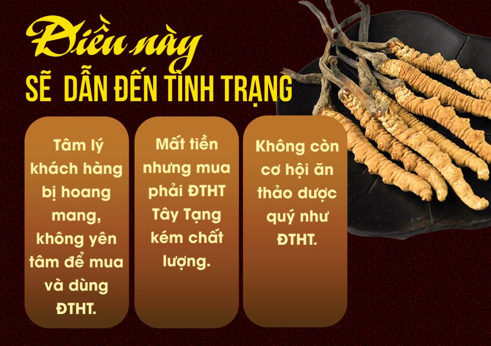 Đông trùng hạ thảo Tây Tạng nguyên con hộp 50gr D011 25