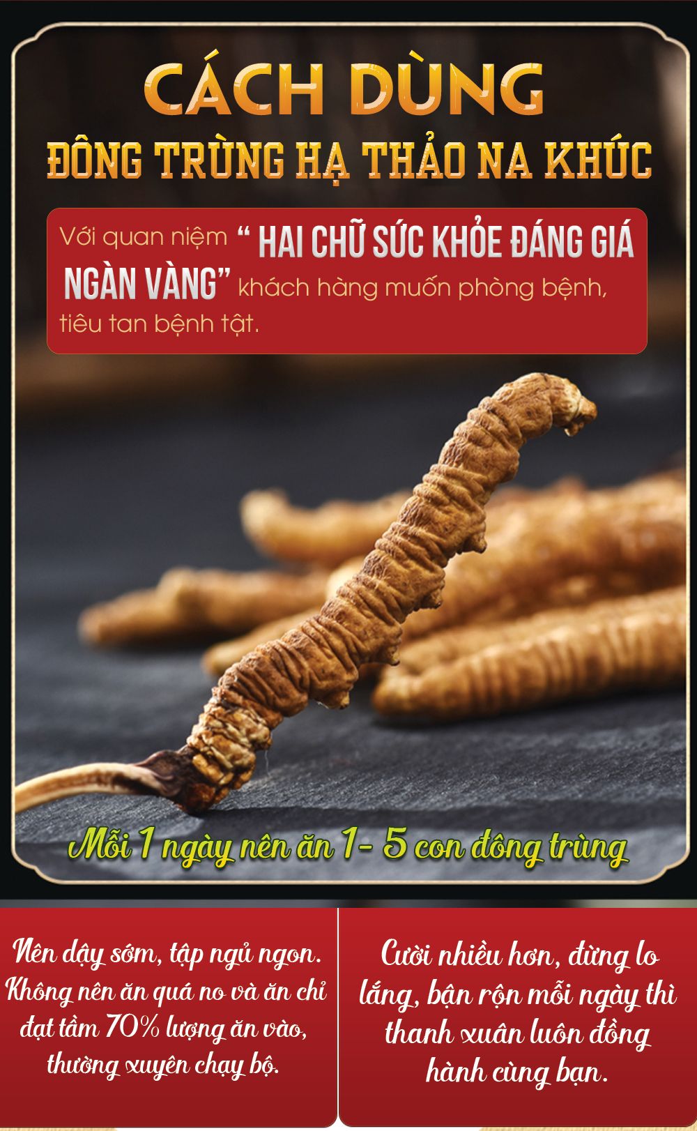 Đông trùng hạ thảo Tây Tạng nguyên con hộp 50gr D011 28
